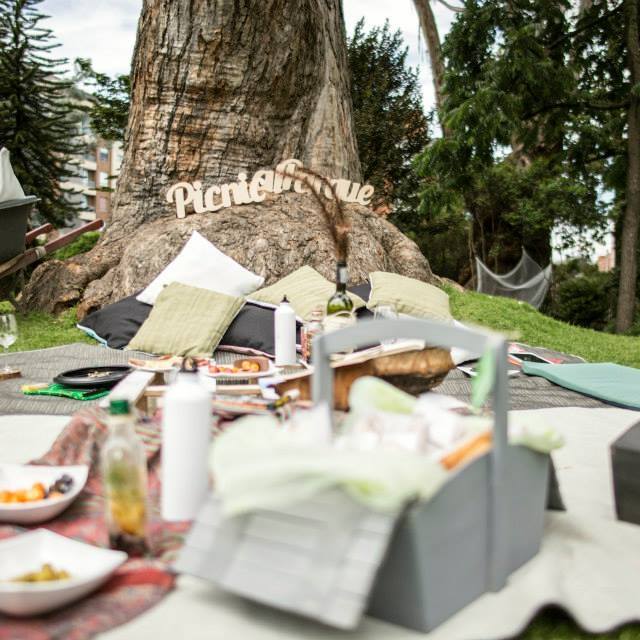 Picnic al aire libre